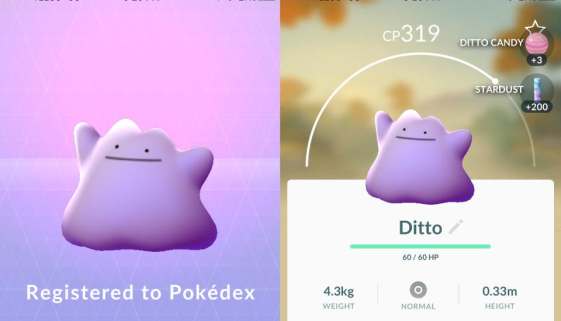 ditto-caught1