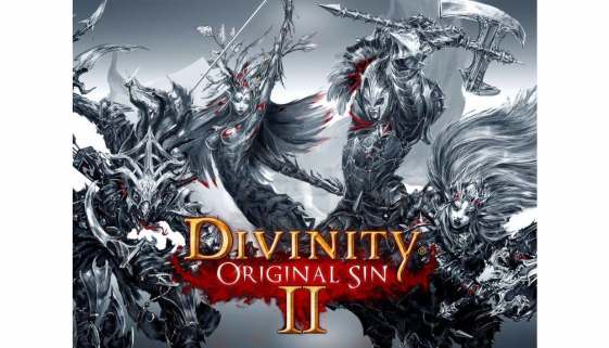 Divinity: Original Sin II Definitive Edition